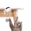 Automatic Cat Teasing Toy, Electric Lifting Toy, Interactive Rotating Ball