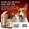 H–µmp Oil for Dogs Cats Hi—Ä and J–æint Supp–ært and Skin H–µalth Anxi–µty C–∞lm P–∞in Omega 3 6 9 and Vit–∞mins B C E