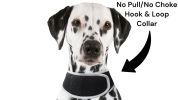 Wireless GPS Tracking Collars for Hunting Dogs Realtime Tracking Tool Size:S