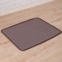 Pet Dog Cat Ice Silk Cold Nest Pad For Cooling In Summer (Option: Brown-150x100cm)