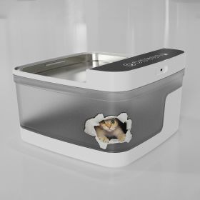 Pet Water Dispenser Automatic Bubbler (Option: B)