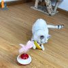 Durable Fun Cat Toy for entertaining itself Mini Favorite Feather Tumbler with small ball Kitten Toys