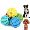 Dog Squeaky Ball Toy; Pet Chew Toy For Dog; Tooth Cleaning Ball Bite Resistant Cookie or Treats Within Ball Pet Supplies